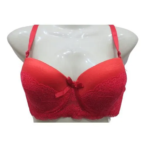 Bridal Bra Full Cup Wired Bra for Women Pushup Bra Latest Style Bra for Functions Plus Size Bra